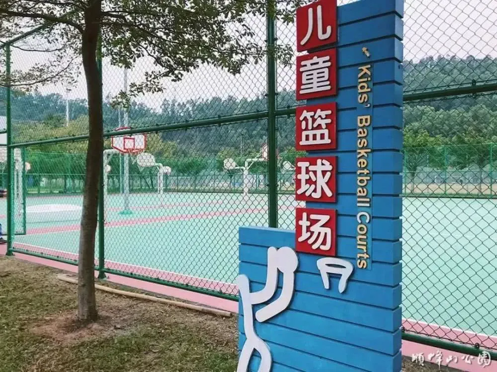 哪里有针对青少年的篮球声誉培养计划_1